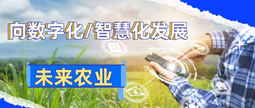 数字化乡村智能管理 引领农业革命，助推农民增产致富